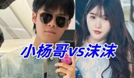 沫沫前老板最新爆料,职场真相与沫沫的真实面目